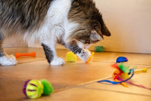 Vibrant Life 24 Piece Value Pack Cat Toys