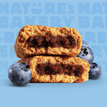 Nature's Bakery Blueberry Fig Bars, 10 Twin packs, 2 oz Each