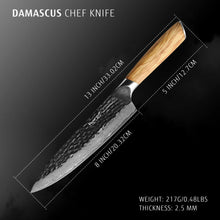 Hecef Japanese Chef Knife, Forged 67-Layer Damascus Steel Ultra Sharp Professional Hammered Carving Knife