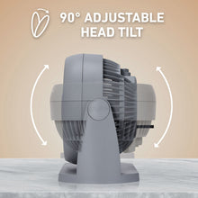Holmes Blizzard 3-Speed Air Circulator Fan, 90° Adjustable Tilt, Removable Grill, Gray