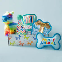 Party Animal Birthday Box Dog Toy Bundle, 5-Piece Set (Blue)