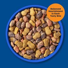 9Lives Daily Essentials Dry Cat Food with Chicken, Beef & Salmon Flavors, 3.15 lb. Bag