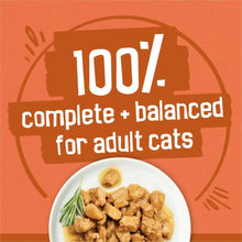 Purina Friskies Turchicken Gravy, Soft Variety Pack, Wet Cat Food, 5.5 oz Cans, 40 Pack