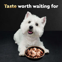 Cesar Classic Loaf In Sauce Wet Dog Food Variety Pack, 3.5 Oz Trays (24 Pack)