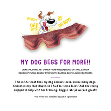 Purina Beggin' Strips Dog Treats with Real Bacon & Beef Flavors Tender Chews, 40 oz Pouch