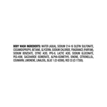 AXEBodyWashMoisturizingPhoenixParaben-Free_Sulfate-Free_16flozTwin - USA Mega Market