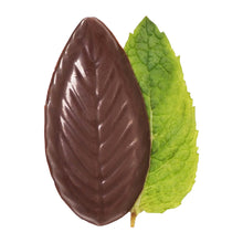 Menta A'Cappella para después de la cena, paquete de 2, 44 mentas en total, 283 g (10 oz).