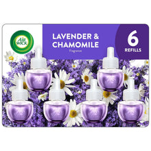 Air-Wick-Plug-in-Scented-Oil-Refill-6-Count-Lavender-Chamomile-Essential-Oils-ef002c2d-45d1-40f5_4547_1 - USA Mega Market