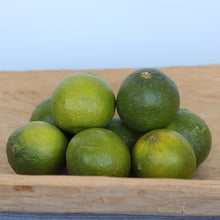 Alder_OakBearssLimeTree4 - USA Mega Market