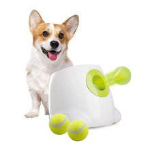 All-For-Paws-Automatic-Tennis-Ball-Launcher-for-Small-to-Medium-Sized-Dogs-3-Balls-Included-Mini_33221916-4130-4ac0-a7a7-b02ffd485eed.43b5cc86e3acad1d1379dffeaec9c994 - USA Mega Market