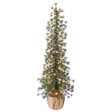 Alpine Artificial Trees with LED Lights, Set of 3