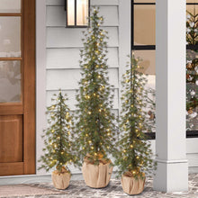 AlpineArtificialTreeswithLEDLights-Setof34-_1 - USA Mega Market