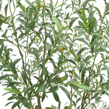 Artificial6-5-OliveTreewithFrenchPlanter1-_4 - USA Mega Market