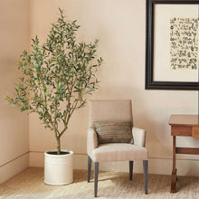 Artificial6-5-OliveTreewithFrenchPlanter4-_1_7b608104-0425-4e14-b824-64db3ef1b4ce - USA Mega Market