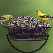 Audubon Park Nut, Fruit & Berry Wild Bird Food, Dry, 1 Count per Pack, 15 lb. Bag