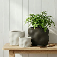 BHG-8-WHT-MAL-PL_65bf6390-5752-44 - USA Mega Market