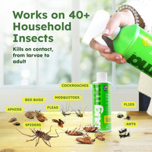 BugMD Pest Control Essential Oil Concentrate (3.7 oz, 2 Pack) - Plant Powered Bug Spray Quick Kills Flies, Ants, Roaches, Mosquitoes, and More