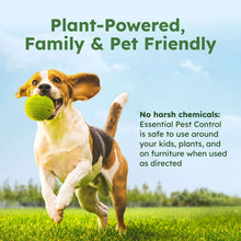 BUGMD-Pest-Control-Essential-OilBUGMD-BUGMD-Pest-Control-Essential-Oil2-_6 - USA Mega Market