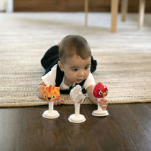 Baby Einstein Rattle & Jingle Trio Take-Along Toy Musical Rattle Set, Ages 6 months +