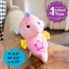 Baby Einstein Sea Dreams Seahorse Plush Soother, Pink, Ages 0 Months+