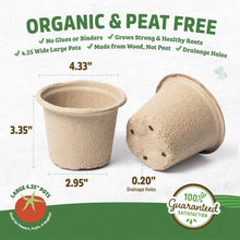 Back to the Roots 4.25" Organic Biodegradable Seed Starting Pots, Plantable Fiber (8 Pack)