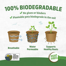 Back to the Roots 4.25" Organic Biodegradable Seed Starting Pots, Plantable Fiber (8 Pack)