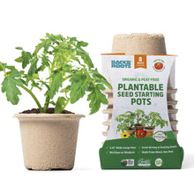 Back-to-the-Roots-4-25-x-3-35-Ci - USA Mega Market
