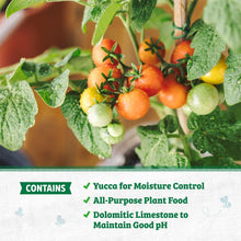 Back to the Roots Organic Potting Mix All-Purpose Premium Blend Soil, 1 cu ft