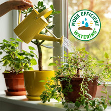 Back to the Roots Organic Potting Mix All-Purpose Premium Blend Soil, 1 cu ft