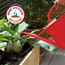 Back-to-the-Roots-Organic-Raised5-_6 - USA Mega Market