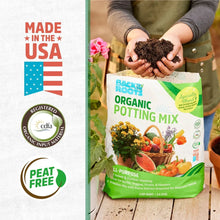 Back to the Roots Potting Mix, 6 Qt