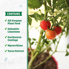 Back-to-the-Roots-Potting-Mix-63_c3bb6f88-7070-4d1a-a429-600ecfecc475 - USA Mega Market