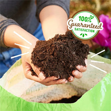Back to the Roots Potting Mix, 6 Qt