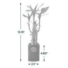 BambooPlantCollection_af7927a9-1d19-4c86-be41-bd2cfb8c90ca - USA Mega Market