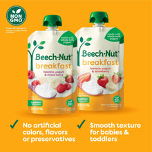 Beech-Nut Fruit & Yogurt Baby Food Pouches, Breakfast Variety Pack, 3.5 oz Pouch (9 Pack)