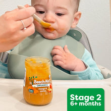 Beech-Nut Veggies Stage 2 Baby Food Variety Pack, 3.5 oz Pouch (9 Pack)