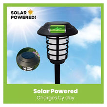 Bell_HowellSolarPathwayLightsPlastic_8pk.7 - USA Mega Market