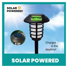 Bell_HowellSolarPathwayLights_5 - USA Mega Market