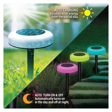 Bell_HowellSolarViviDisk8PK4 - USA Mega Market