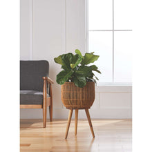 Better-Homes-Gardens-13-Inch-Rou-_1 - USA Mega Market