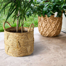 Better-Homes-Gardens-Athena-12-R1-_2 - USA Mega Market