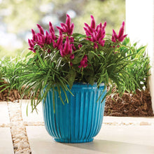 Better-Homes-Gardens-Kamala-Ligh1-9508c931-d93c-40f3-b1ec-c02dba3afa81-_2 - USA Mega Market