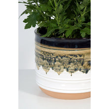 Better-Homes-Gardens-Pottery-6-N2_4fa16a11-d6bc-4619-a940-8c1f8f46c255 - USA Mega Market