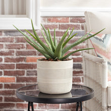 Better-Homes-Gardens-Pottery-8-T1 - USA Mega Market