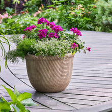Better-Homes-Gardens-Tatum-Recyc1 - USA Mega Market
