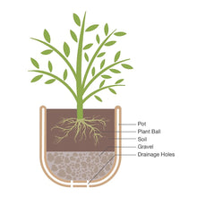Better Homes & Gardens 12.9" x 12.9" x 10" Whiskey Barrel Light Brown 100% Recycled Resin Planter