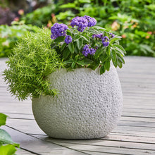 Better-Homes-and-Gardens-13in-Re1 - USA Mega Market
