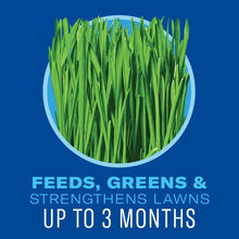 BioAdvanced-5-in-1-Weed-and-Feed4 - USA Mega Market