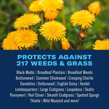BioAdvanced-All-In-One-Lawn-Weed1-_2 - USA Mega Market