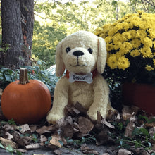 Biscuit the Little Yellow Puppy 10" Plush